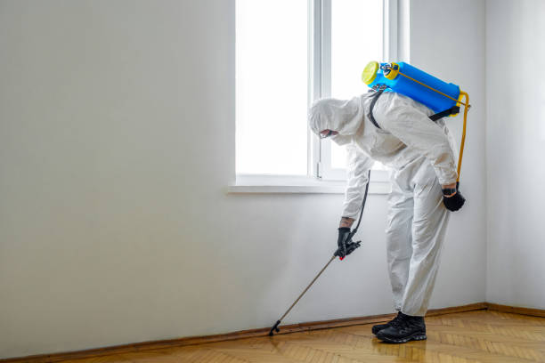 Best Bed Bug Extermination  in Laguna Park, TX